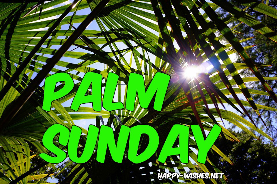 PALMSUNDAYBEAUTIFULLIMAGES