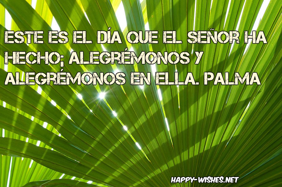 palm sUNDAY sayings in spanisj