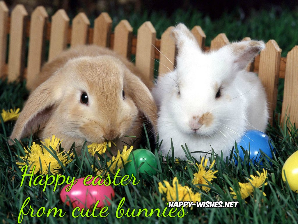 cute-easter-bunny-