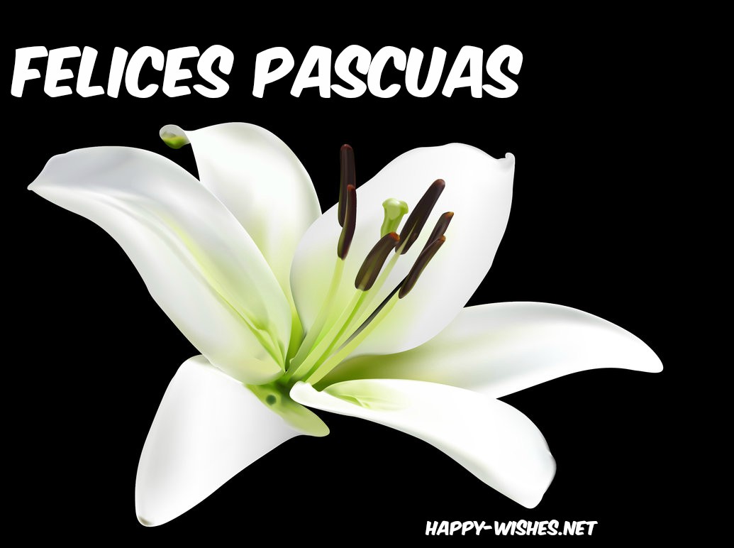 happy-easter-2019-quotes-images-in-spanish-pascua-2019-refranes-en