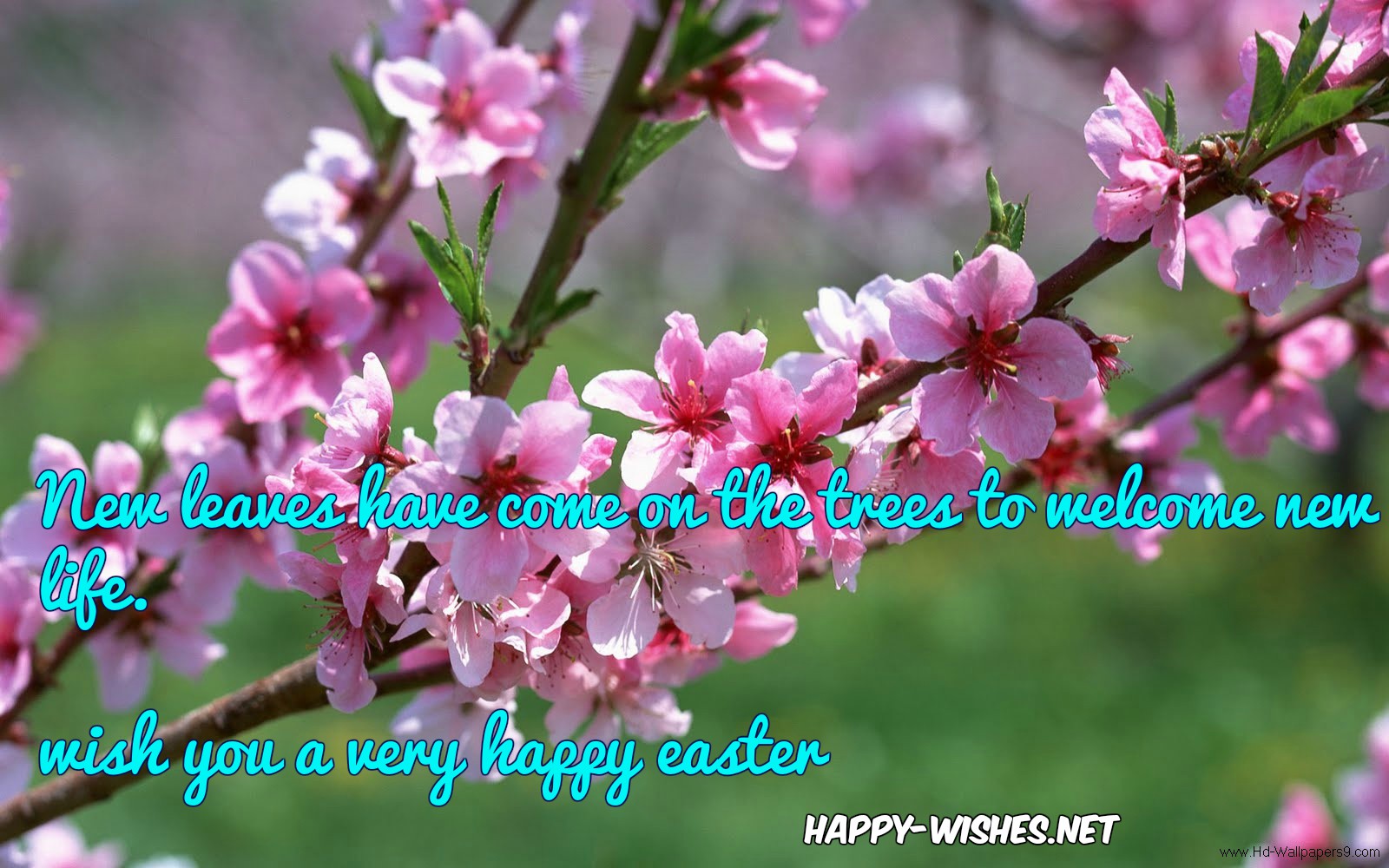 easter-spring-quotes