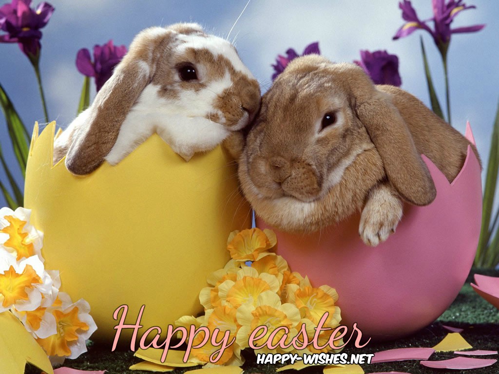 easterbunnyimages
