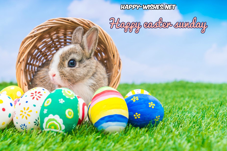 happy-easter-bunny-image