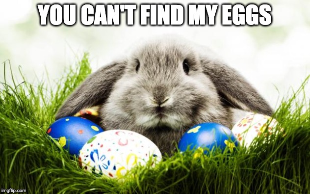 you can't find my eggs meme