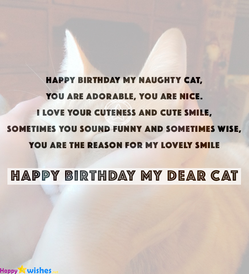 Happy Birthday Wishes For Cats - Quotes, Images & Memes