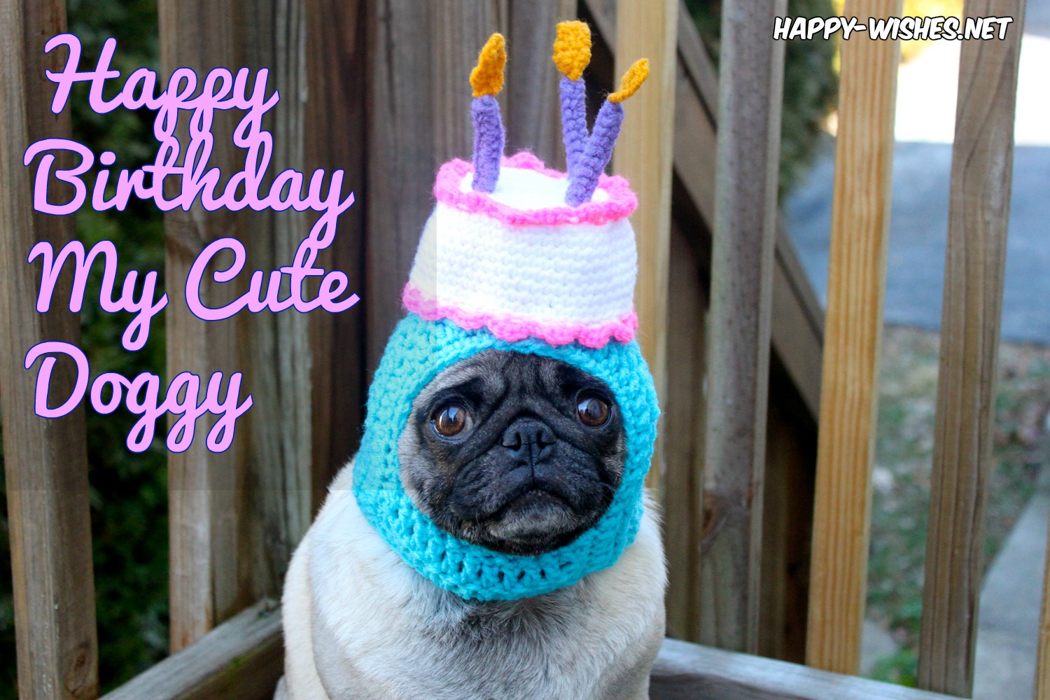 Happy-birthday-images-for-DogsHappy-birthday-images-for-DogsHappy-Happy-birthday-images-for-Dogsbirthday-images-for-Dogs