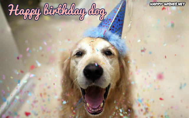 Happy-birthday-images-for-Dogs