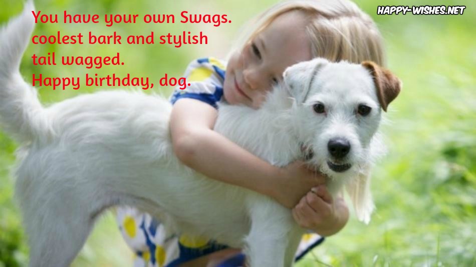 Happy Birthday Wishes For Dog - Quotes Images Memes