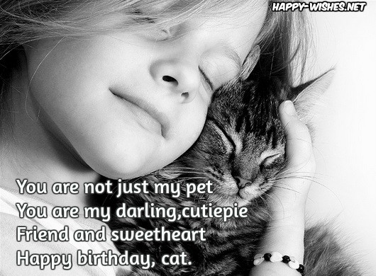 Happy-birthday-quotes-for-cats