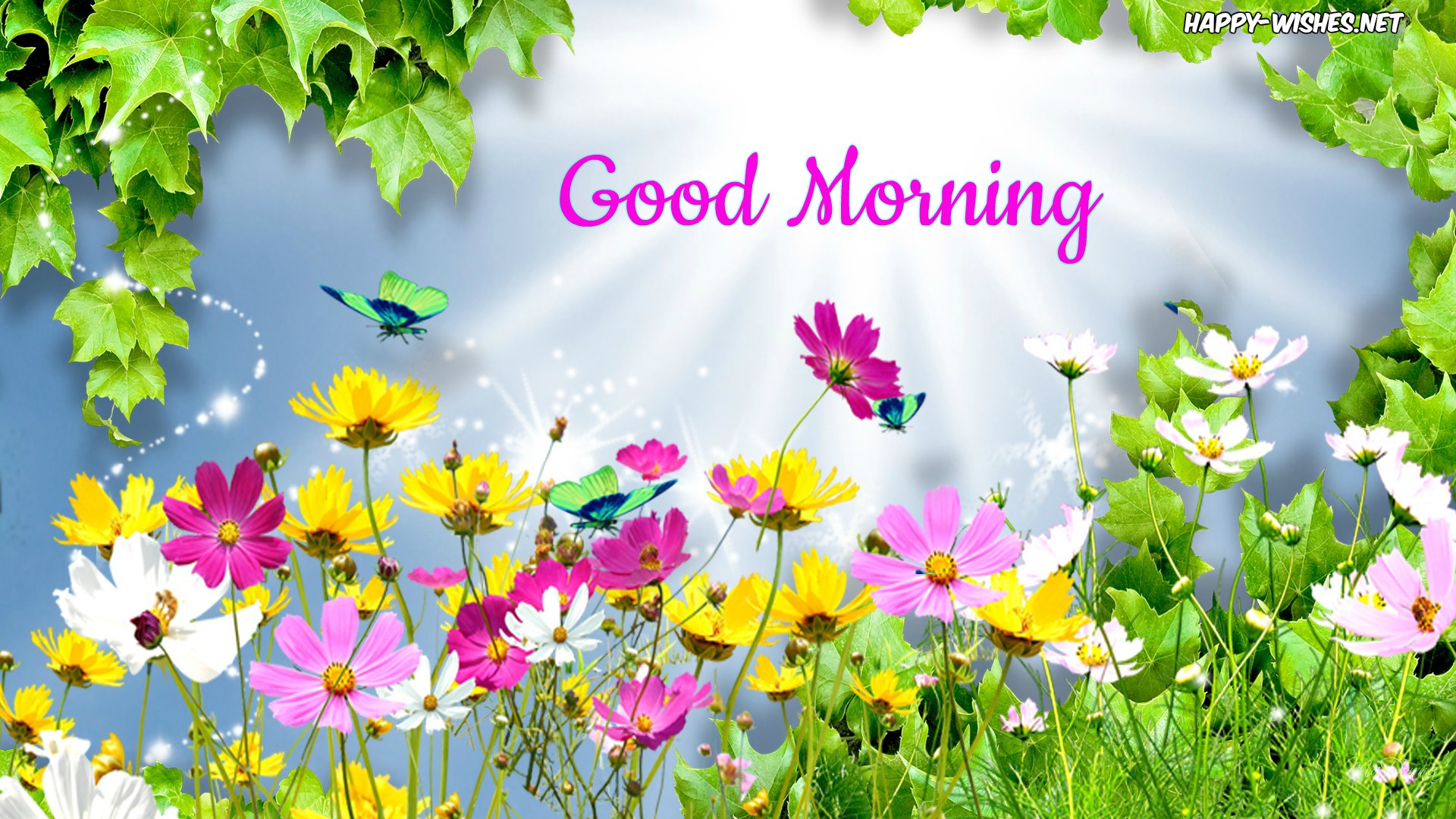 Best animated good morning wishes