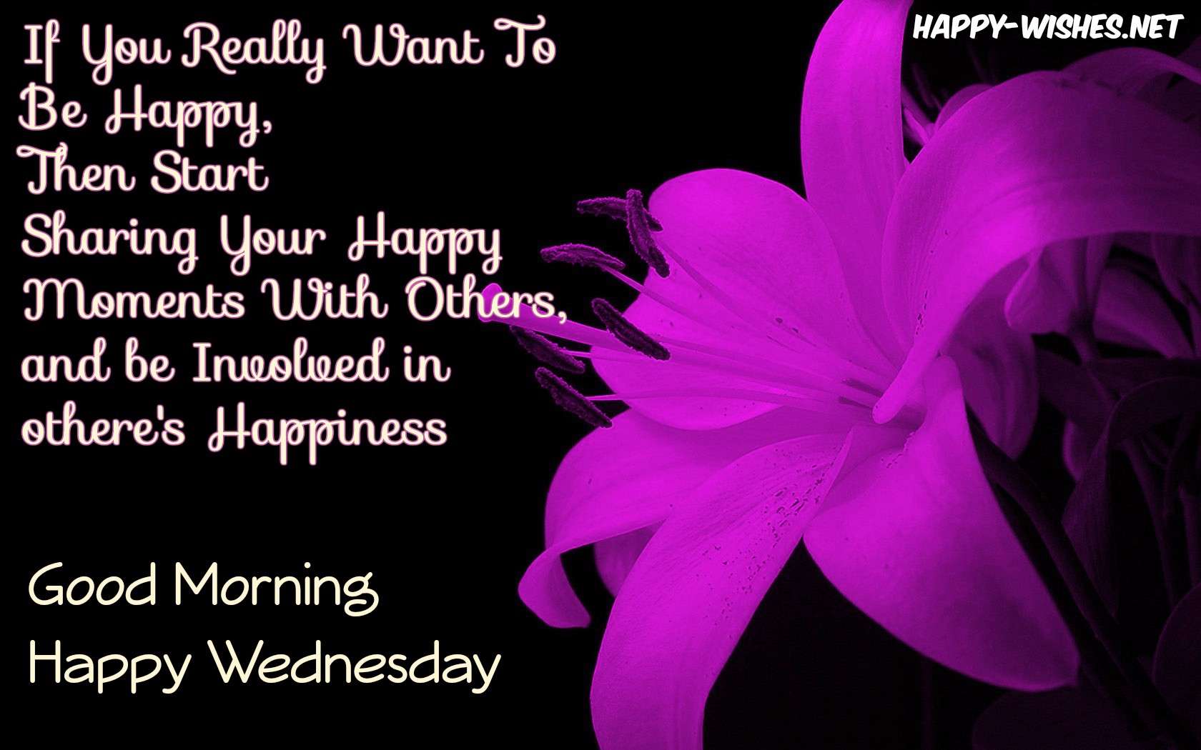 Good Morning Wednesday Quotes And Images Popularquotesimg