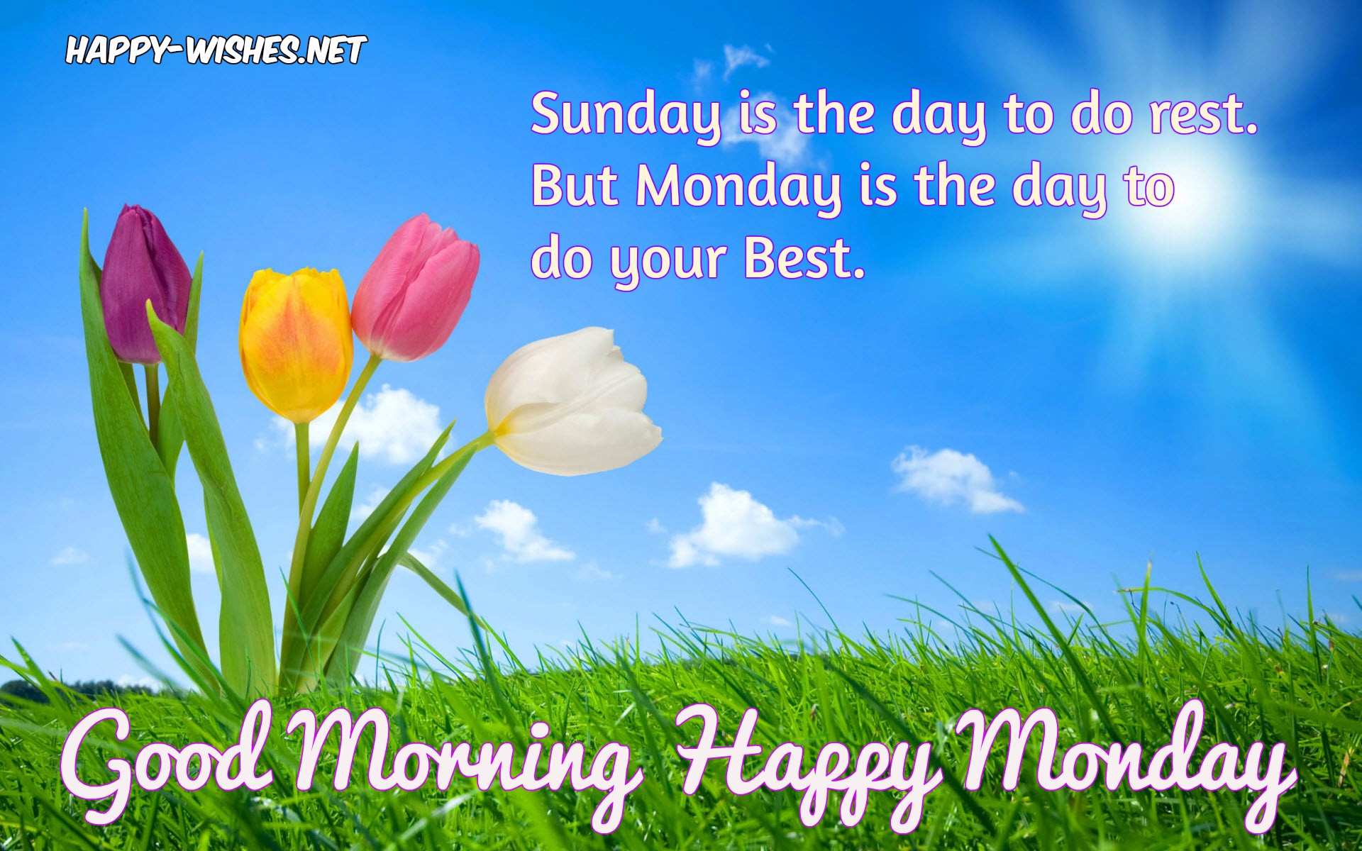 Good Morning wishes on Monday - Quotes