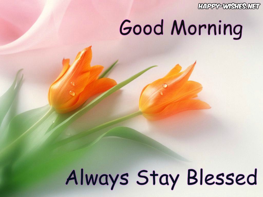 Good morning Wishes With flowers images