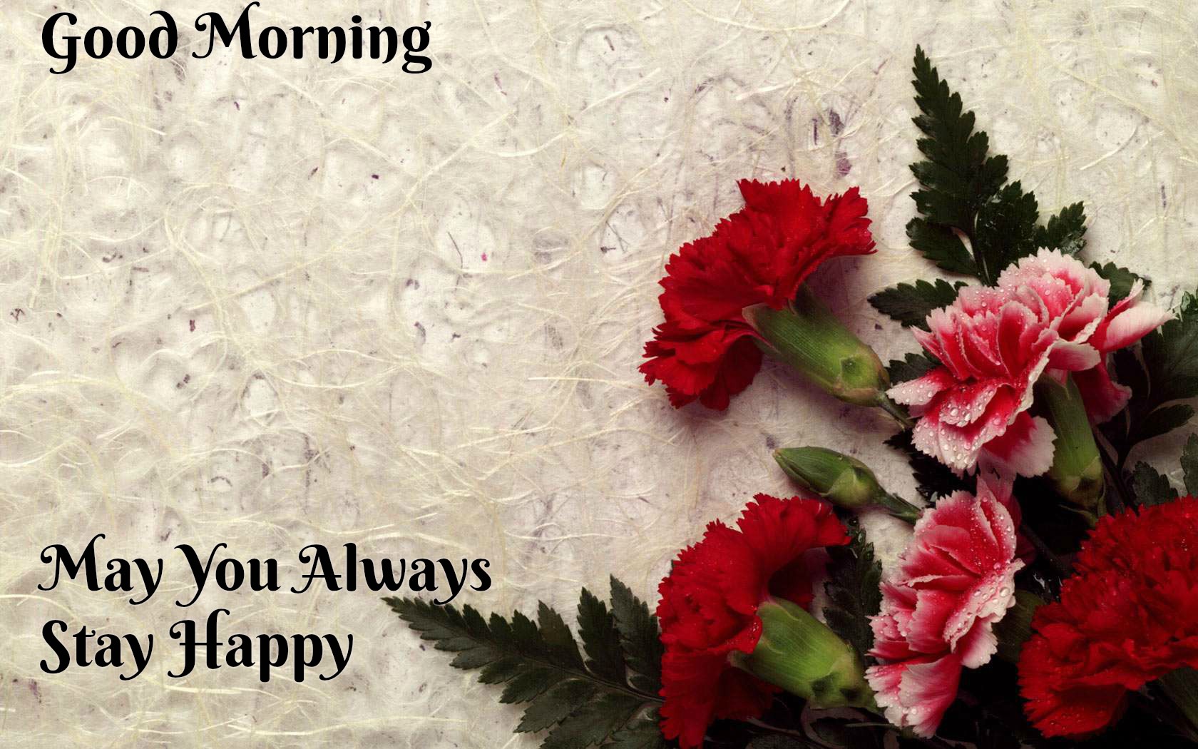 Good morning Wishes With flowers images