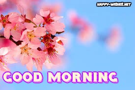 Good morning Wishes With flowers images