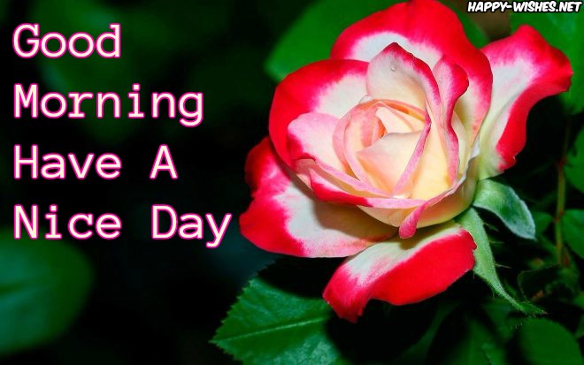 Good morning Wishes With flowers images