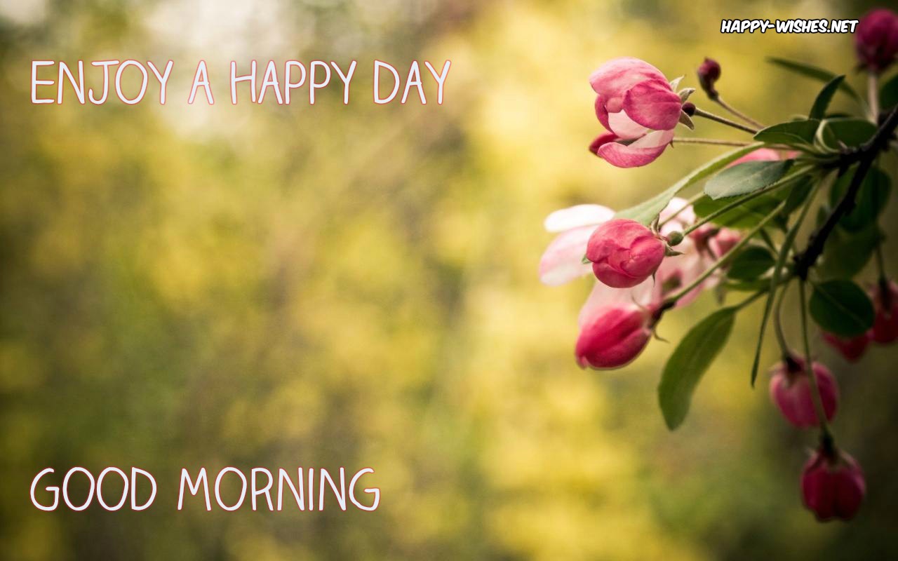 Good morning Wishes With flowers images