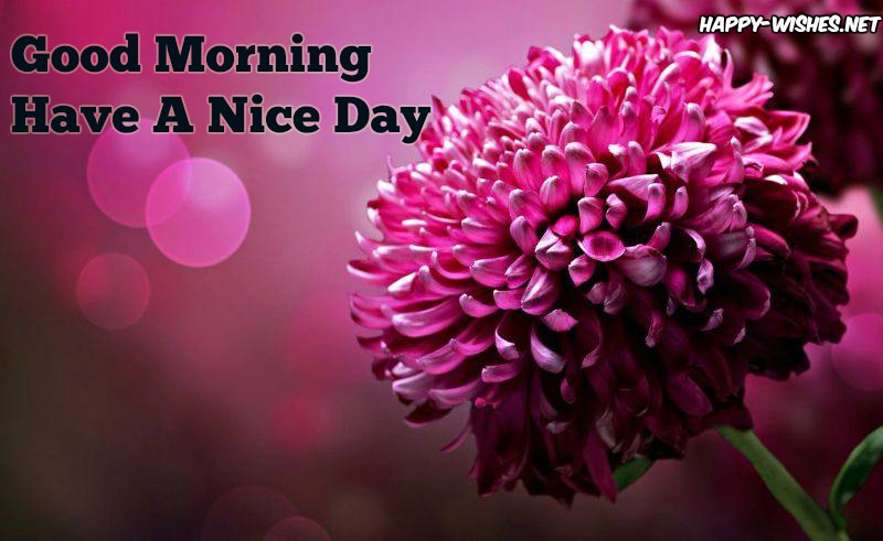 Good morning Wishes With flowers images