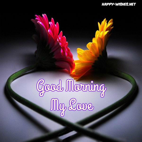 Best Good morning my love Images