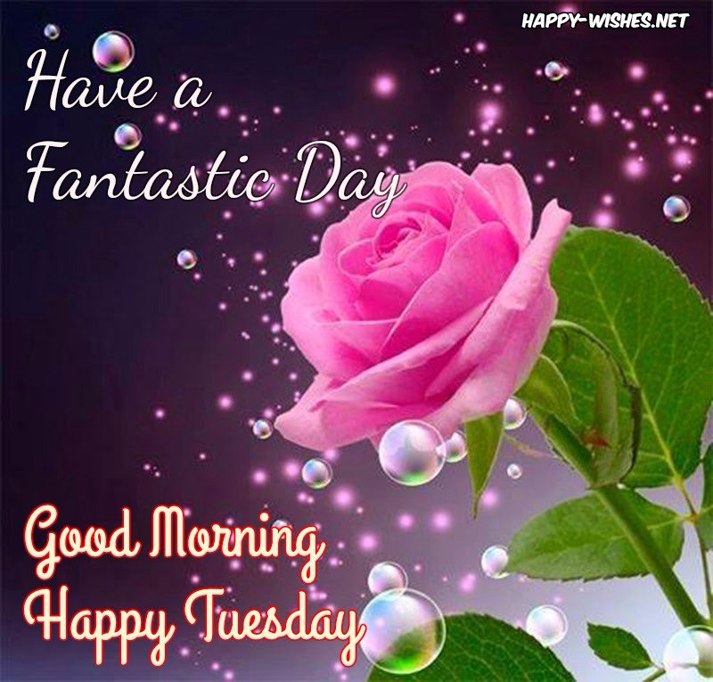 Good Morning wishes on Tuesday pictures
