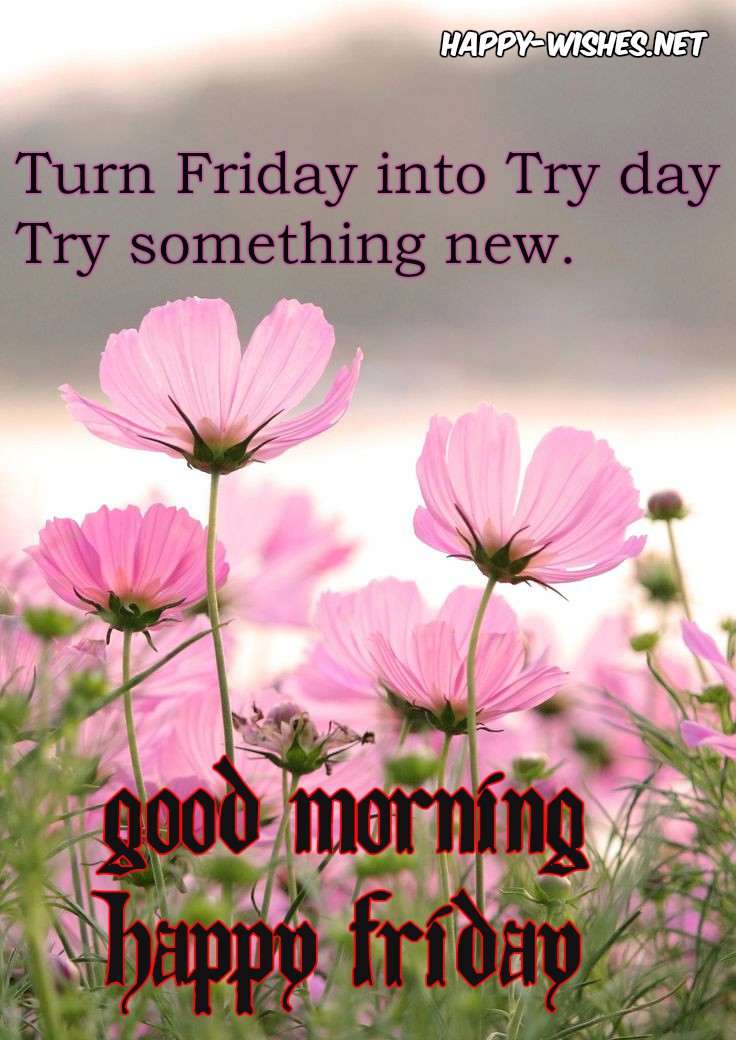 Friday Morning Image Quotes Friday Morning Image Quotes