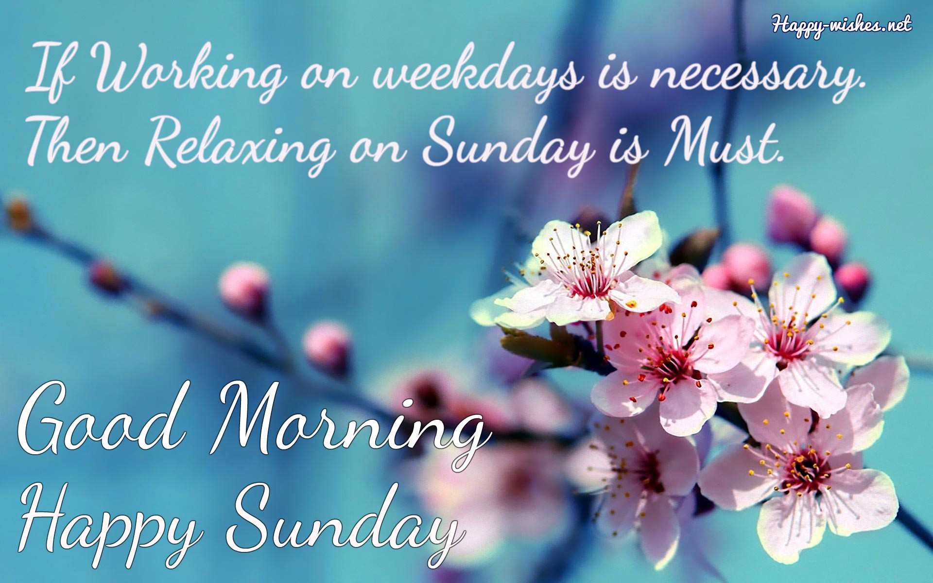 Good Morning Wishes On Sunday - Quotes , Images and Pictures