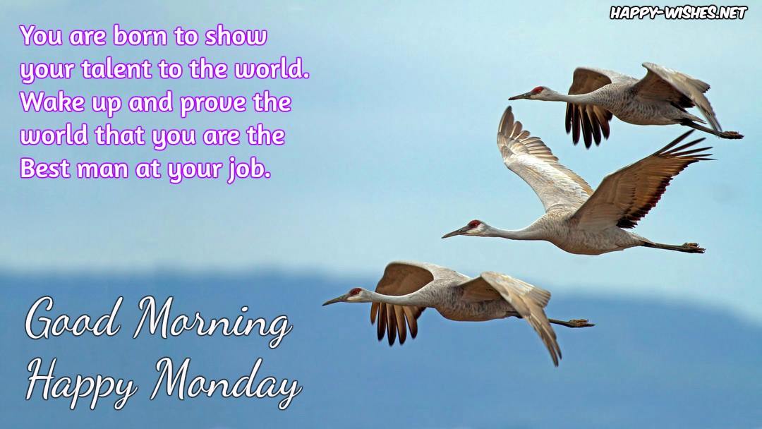 Good Morning wishes on Monday - Quotes