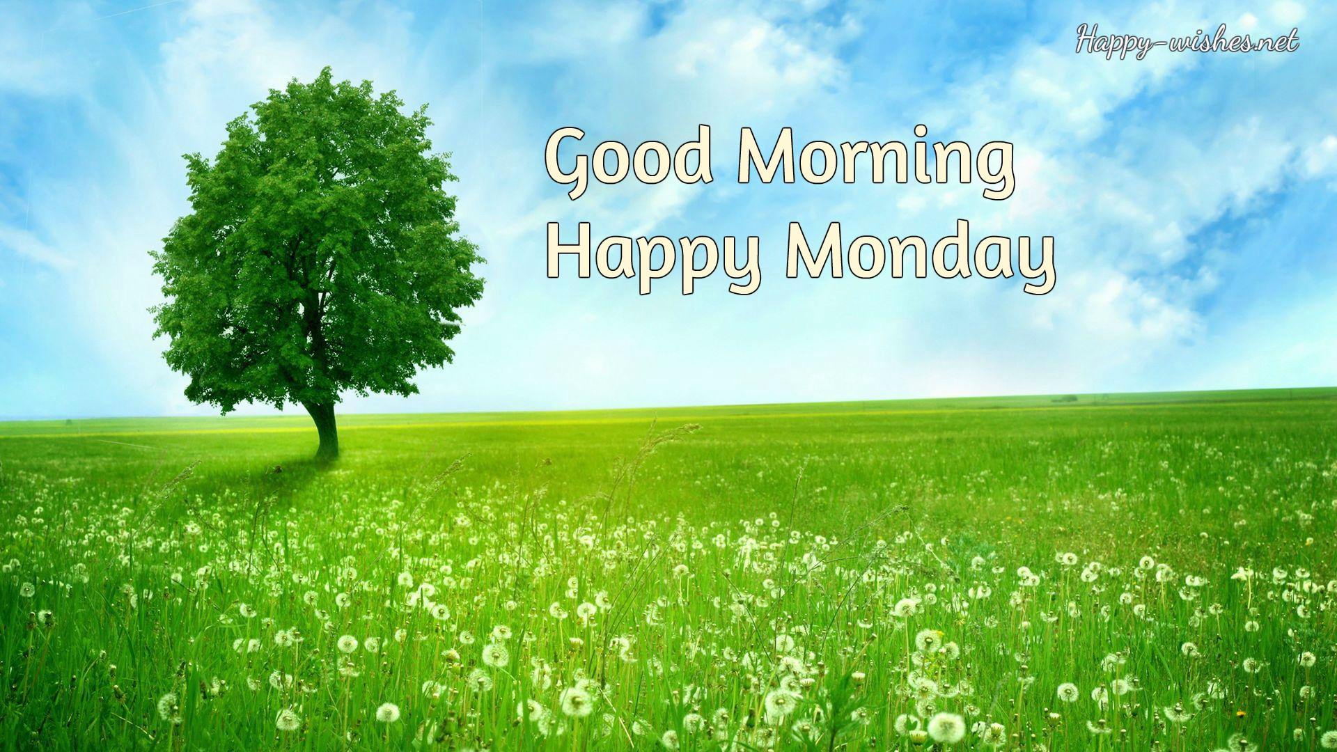 Happy Monday morning image