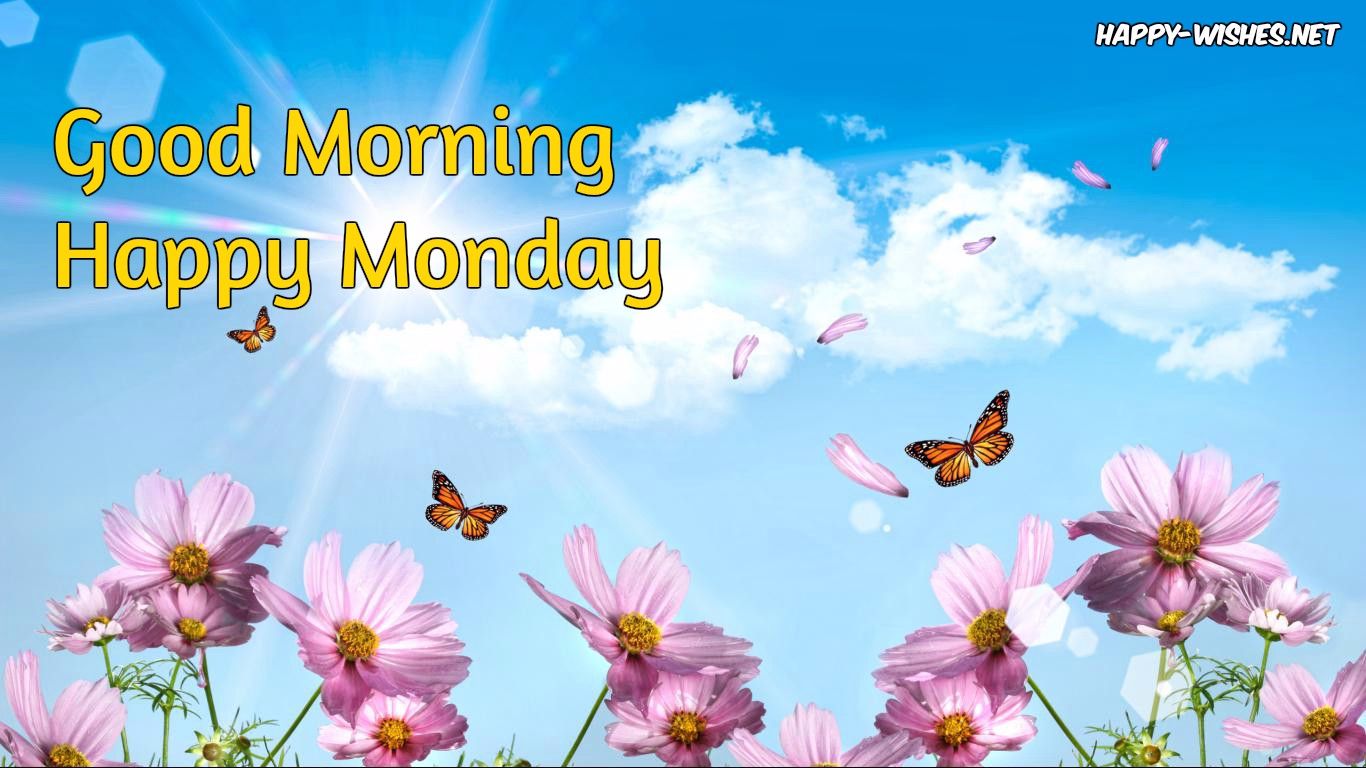 good morning Happy Monday butterfly