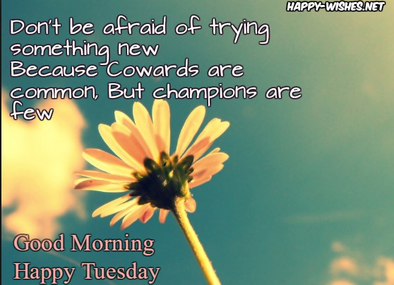 Good morning wishes on Tuesday.quotes