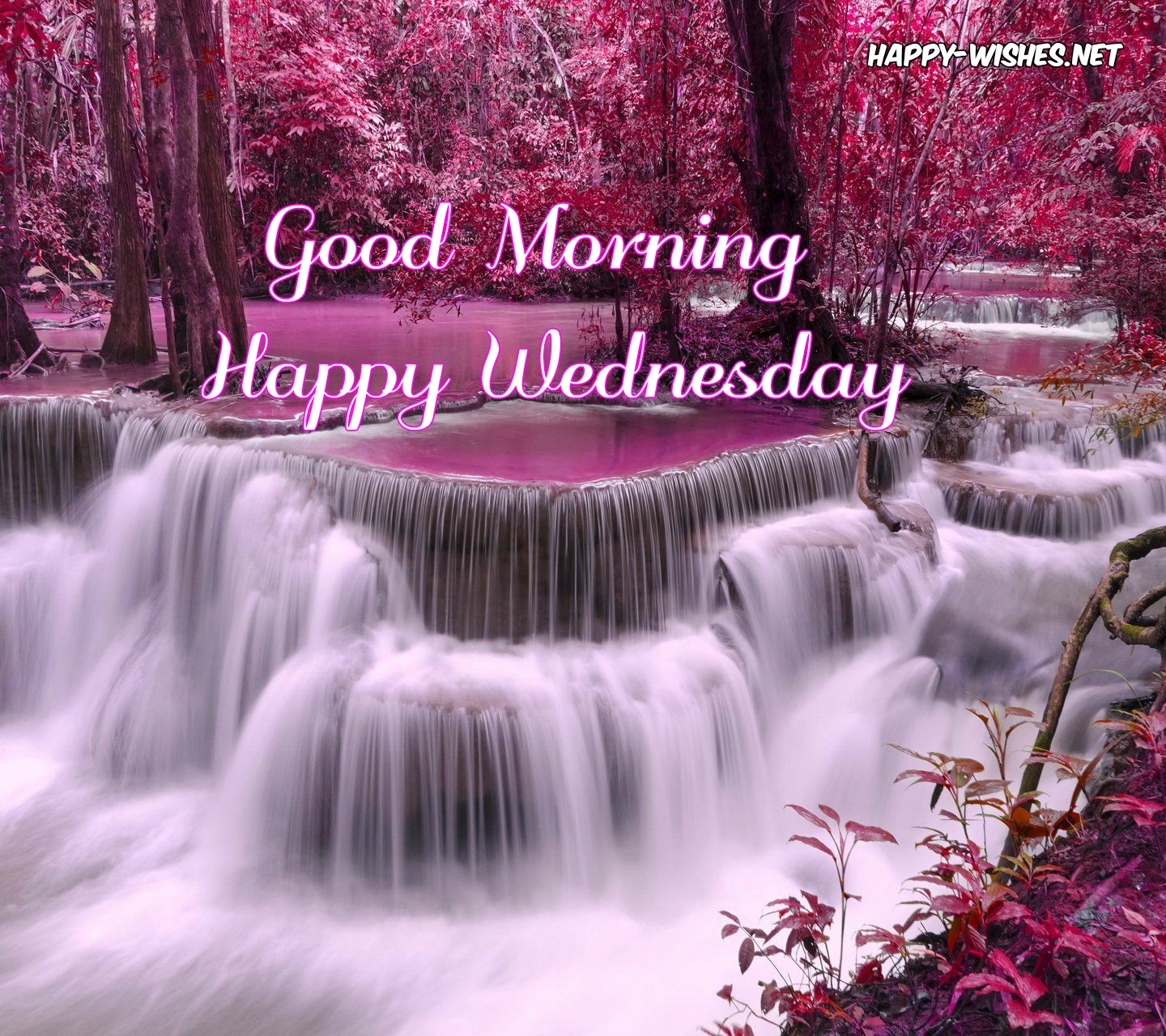 Good Morning wishes on Wednesday images