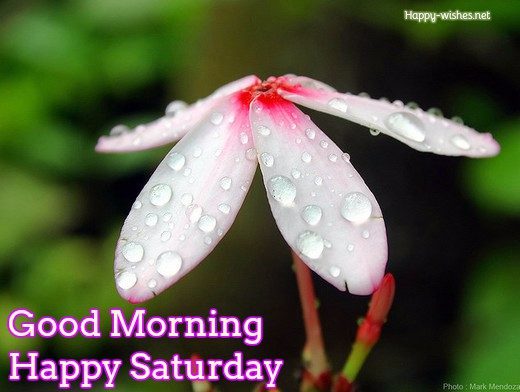 Good Morning wishes on Saturday - images