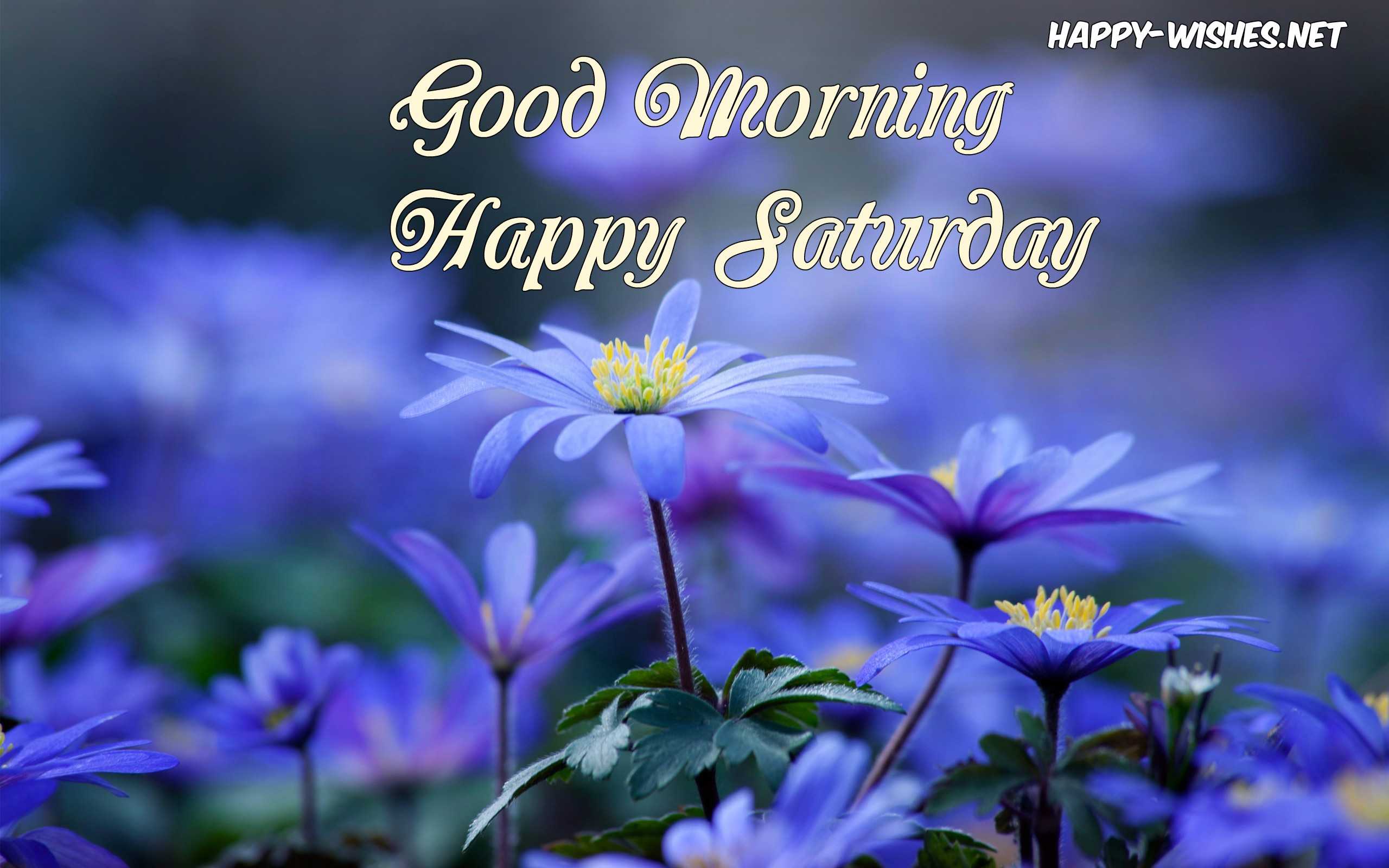 Good Morning wishes on Saturday - images