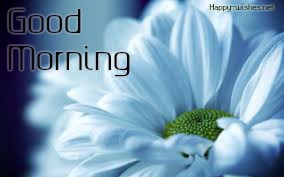 Good morning Wishes With flowers images