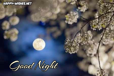 Good night wishes