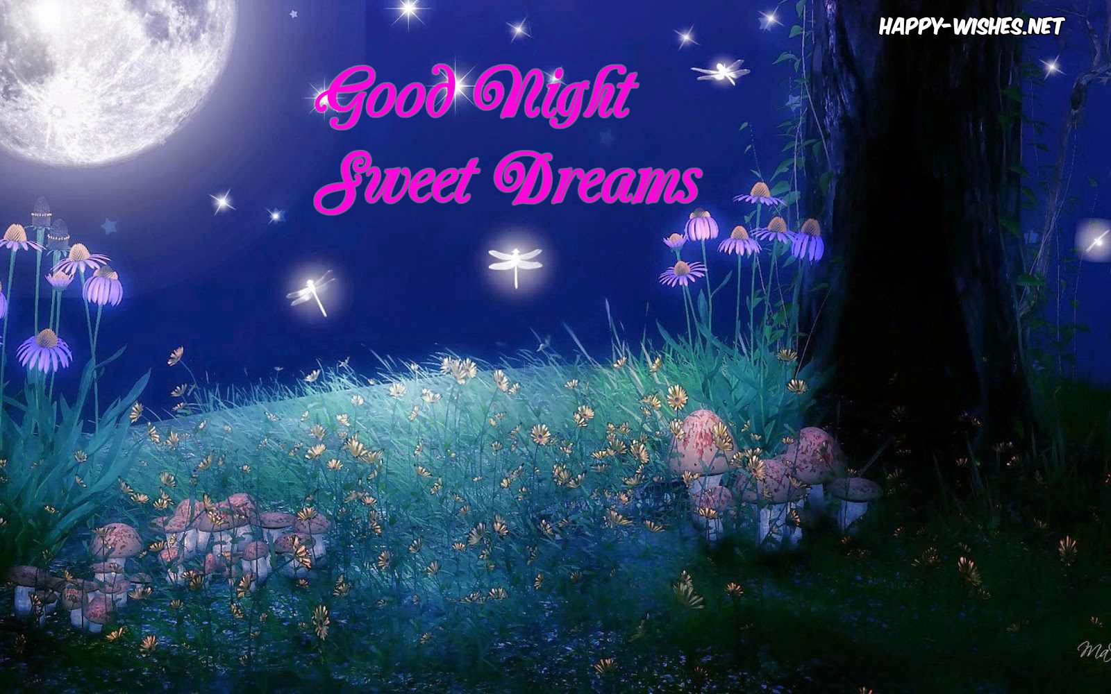 Best Good Night Sweet Dreams Quotes And Messages