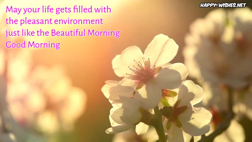 Best Good morning blessings images and Quotes