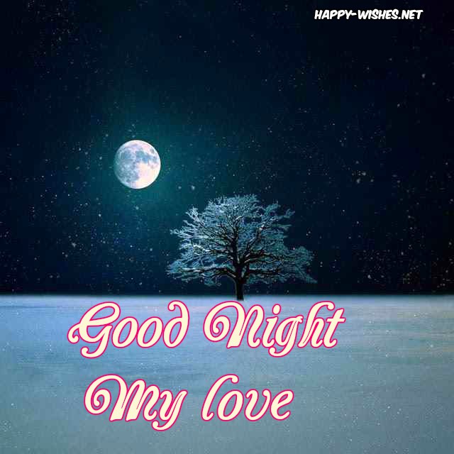40+ Best Good Night Wishes Quotes and Images