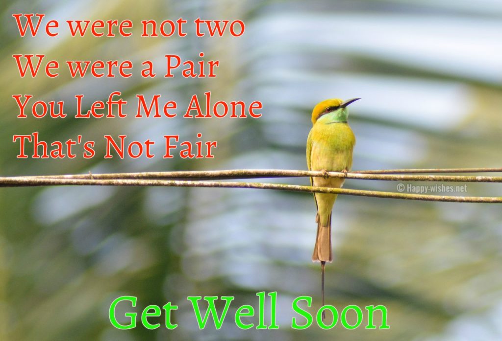 Best Get Well Soon Quotes