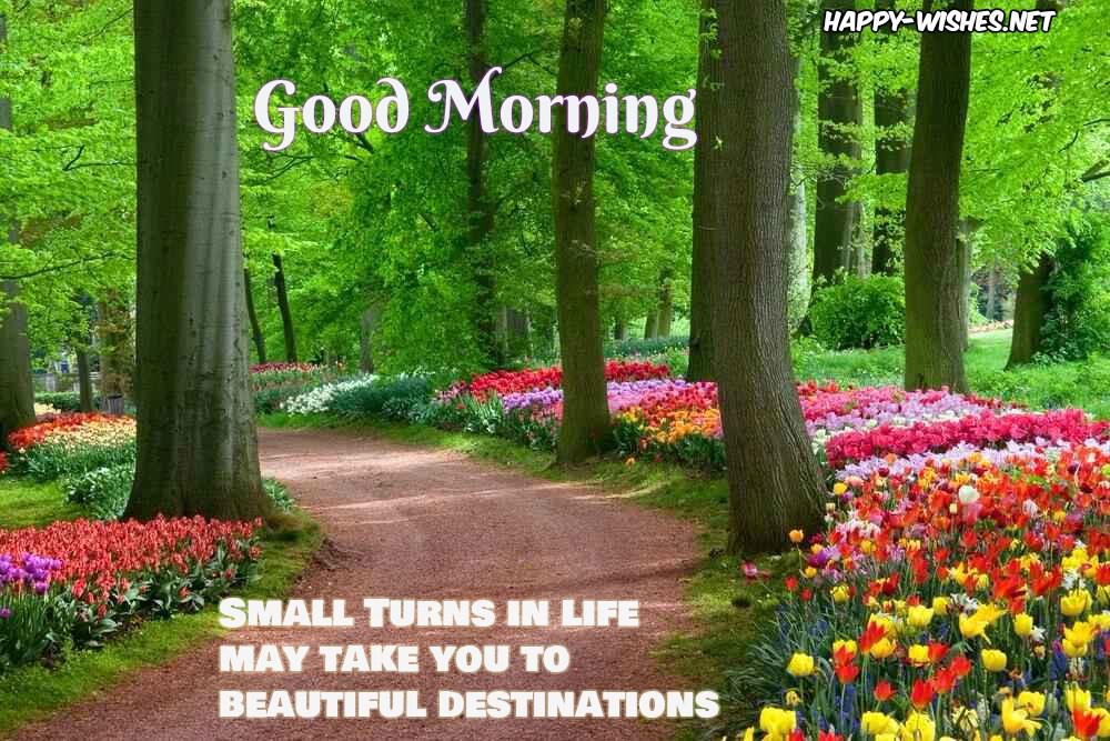 Good morning wishes