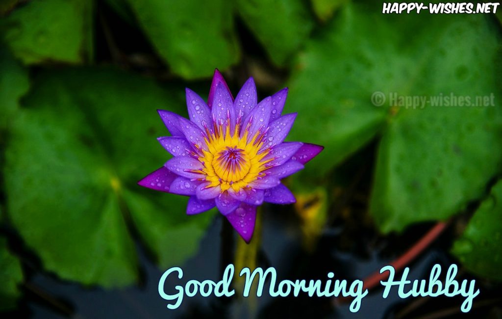 Good Mornig Hubby images