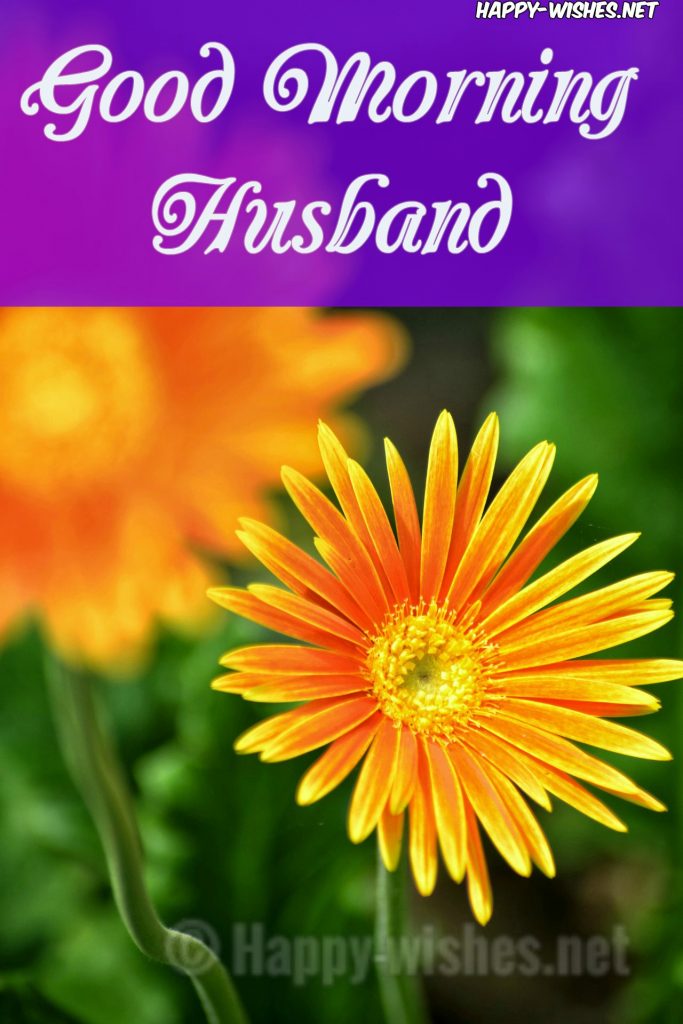 Good Morning Husband wishes images