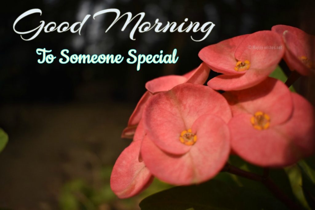 Good Morning Somone special