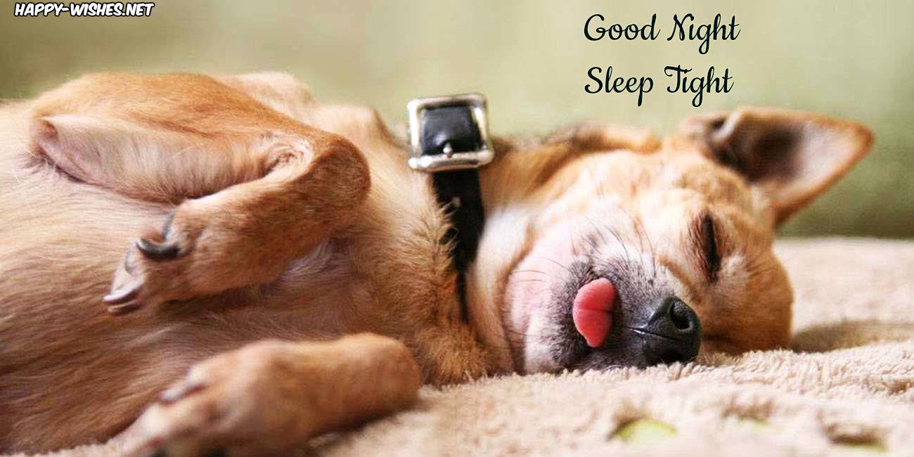 good-night-dog-pictures-images-vlr-eng-br