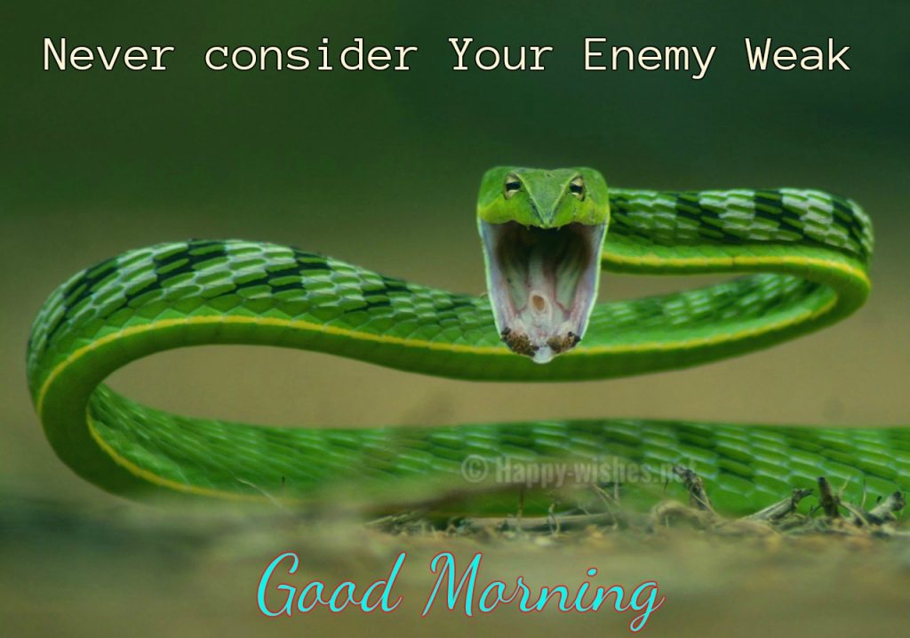 Never Consider your Enemy weak
