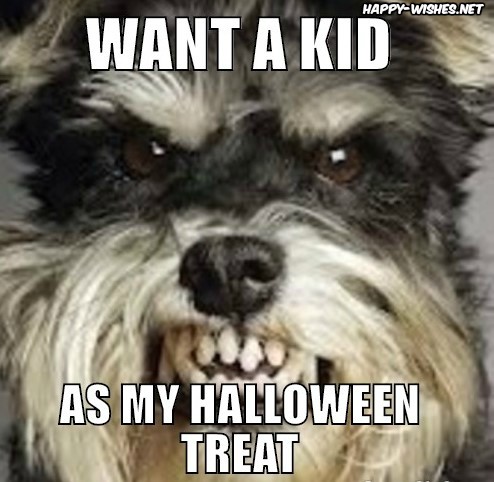 Best Funny halloween memes