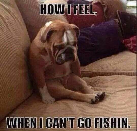 Can't Go For Fishing FEELING sad