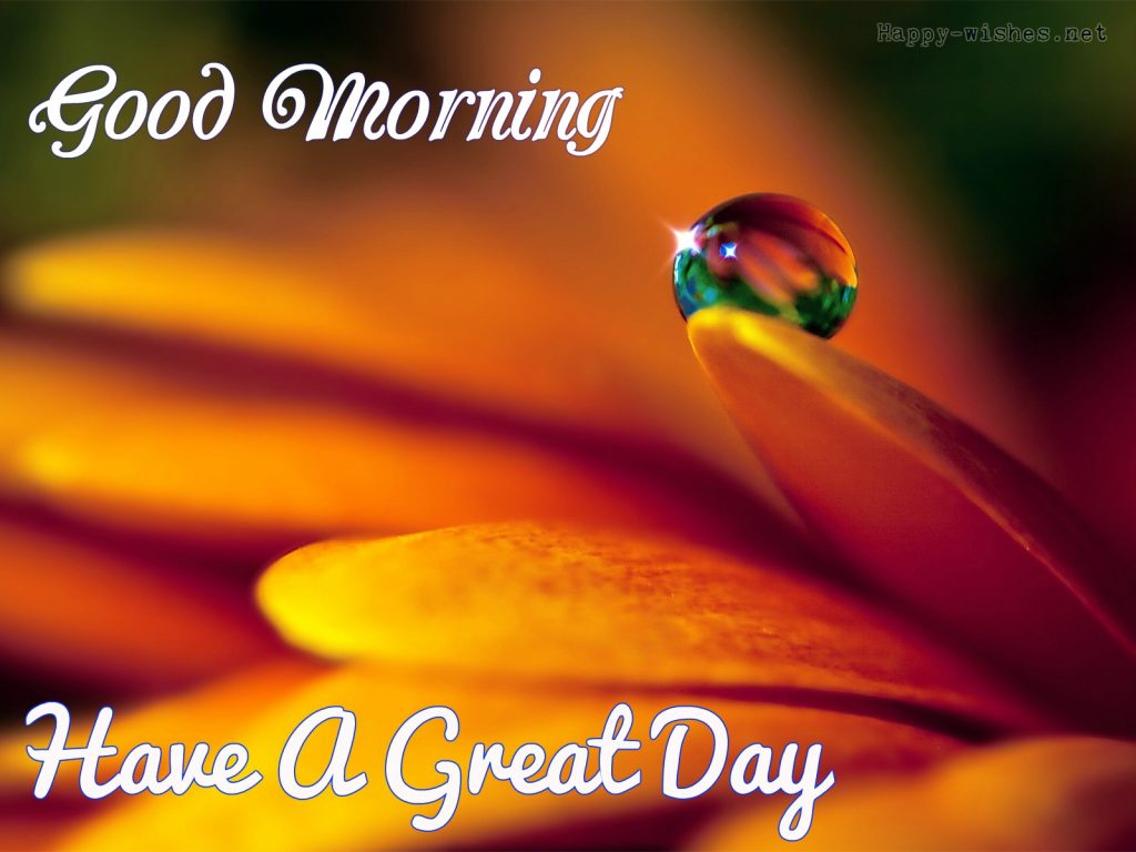 Beautiful Good morning Have a Greatd ay with dew drops images