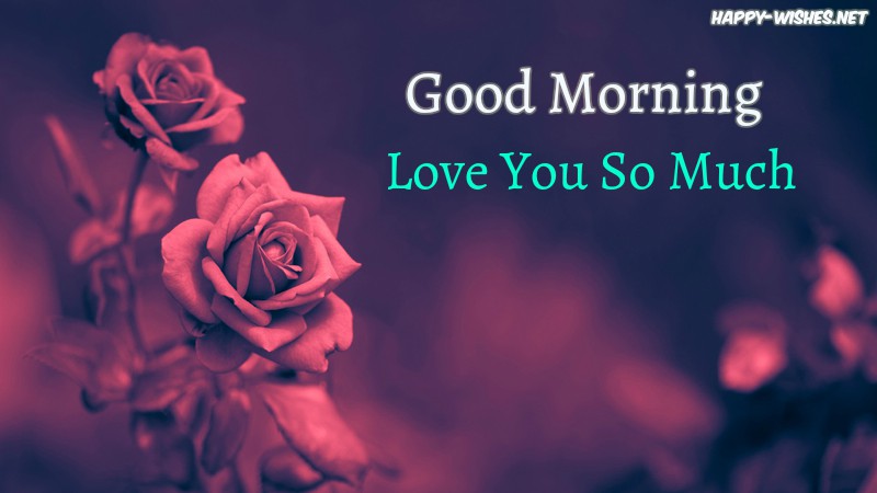 Beautiful Red Roses in Good morning image