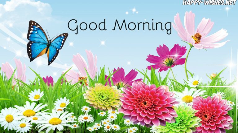 30 Good Morning With Butterfly Images and Quotes